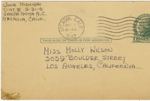 Postcard to Molly Wilson from June Yoshigai (October 1, 1942) (ddr-janm-1-87)