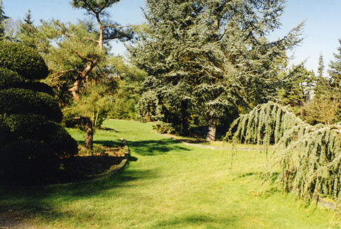Lawn with trees in curbed beds, path into stroll garden is in foreground (ddr-densho-354-812)