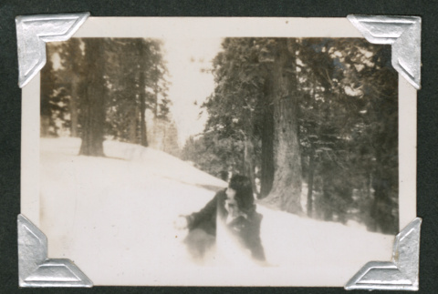 Hisako Nagai in snow (ddr-densho-550-152)