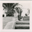 Man with dog, with bucket on stairs (ddr-densho-426-2464)