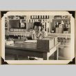 Mary working at a desk (ddr-densho-542-534)