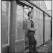 Farmer closing his greenhouse prior to mass removal (ddr-densho-151-128)