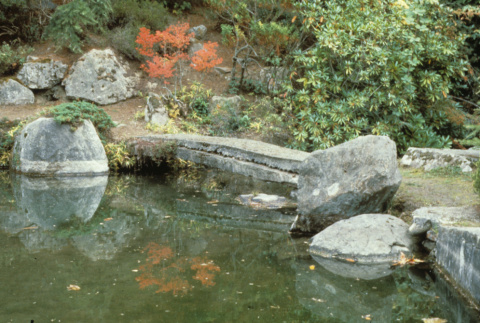 Japanese Garden (ddr-densho-354-2612)
