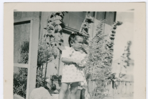 baby in garden (ddr-densho-378-1127)