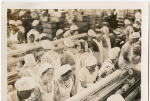 Women working on an assembly line (ddr-densho-426-2067)