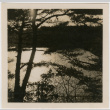 View of lake through trees (ddr-densho-426-1393)