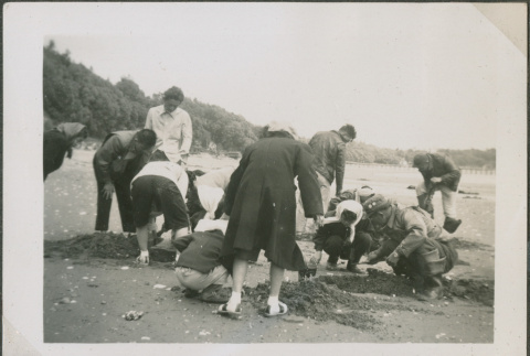 A group digging for clams (ddr-densho-201-913)