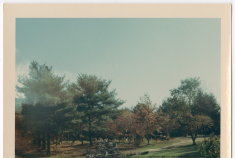 Rock formation from across the pond (ddr-densho-377-1995)
