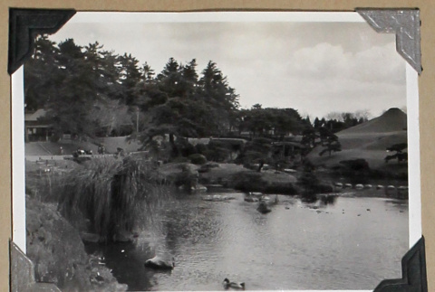 View of a pond in a Japanese garden (ddr-densho-404-274)