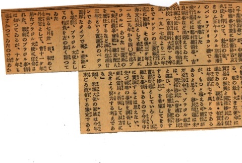 Article regarding Shin Kamitsuka (ddr-njpa-4-419)