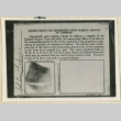Back of John Fukasawa's identification card (ddr-densho-37-1672)