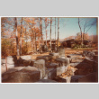 View to the house (ddr-densho-377-2575)