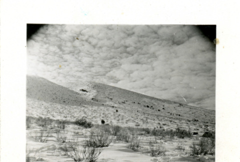 Snowy hillside (ddr-csujad-26-108)
