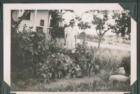 Photo of a woman in a garden (ddr-densho-483-893)