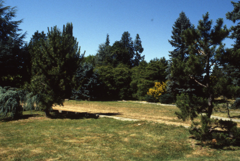 Lawn area with curb (ddr-densho-354-2034)