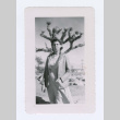Woman in front of cactus (ddr-densho-402-10)