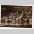 Rock wall feature by pond (ddr-densho-377-2044)