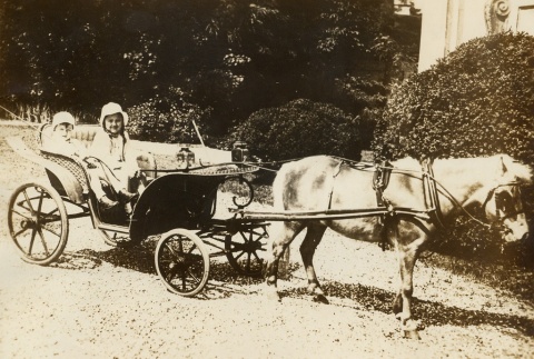 Engelbert Dollfuss's children in a horse drawn carriage (ddr-njpa-1-211)