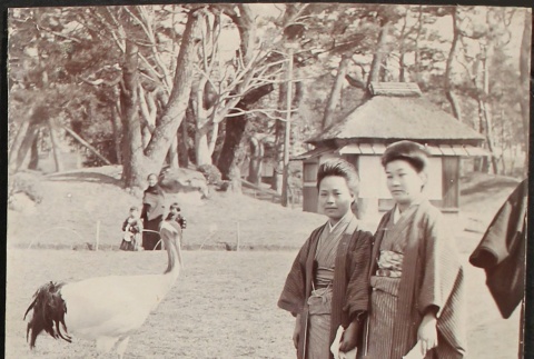 Japanese women and a stork (ddr-densho-259-113)