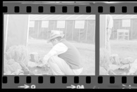 Negative film strip for Farewell to Manzanar scene stills (ddr-densho-317-257)
