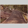 Driveway (ddr-densho-377-1824)