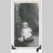 Mary Alice in willow tree, July 1948 (ddr-densho-462-49)