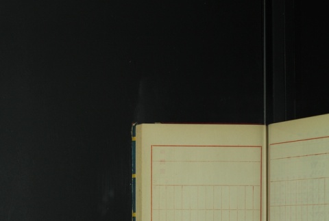 Page 447 (ddr-densho-255-7-master-1a753dcd1d)