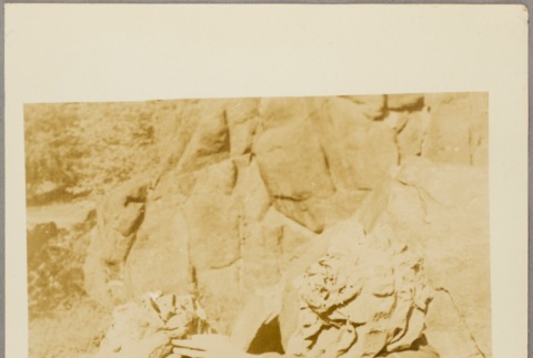 Front and back (ddr-njpa-13-1474-mezzanine-5878a284e8)