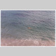 Swimmer in ocean (ddr-densho-368-298)