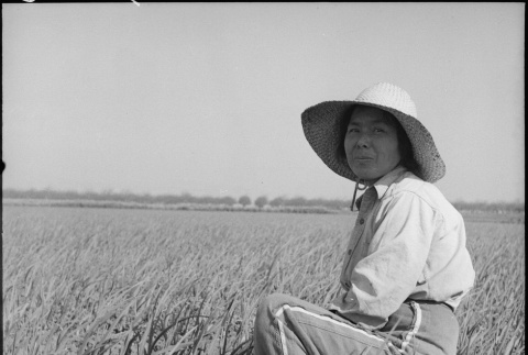 Issei farmer in working in field (ddr-densho-151-211)