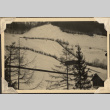 View of hillside in snow (ddr-densho-466-815)