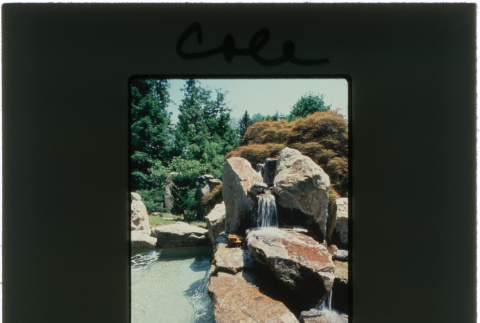 Pool and waterfall at the Cole project (ddr-densho-377-397)