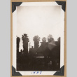 View of palm trees (ddr-densho-542-189)