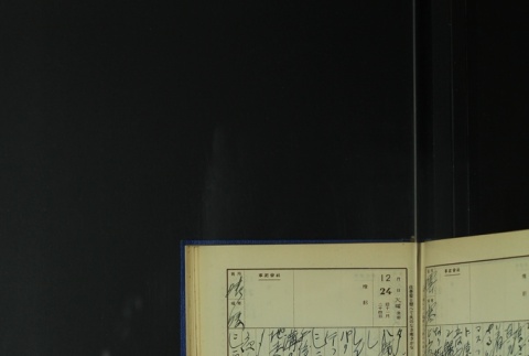 Page 383 (ddr-densho-255-6-master-02508c4250)