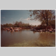 Pond (ddr-densho-377-2094)