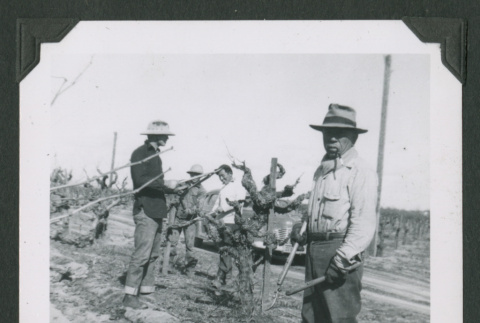Men working in a field (ddr-densho-471-184)
