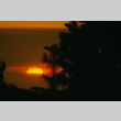 View of a sunset (ddr-densho-336-1092)