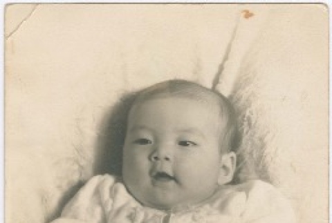 (Photograph) - Image of infant (PDF) (ddr-densho-332-5-mezzanine-5c1e4e45dc)
