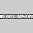 Negative film strip for Farewell to Manzanar scene stills (ddr-densho-317-216)