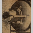 Clipping regarding a person in an iron lung (ddr-njpa-1-1931)