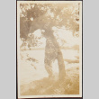 Woman standing beside tree [?] (ddr-densho-278-139)