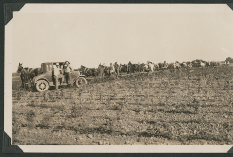 car and horses (ddr-densho-378-676)