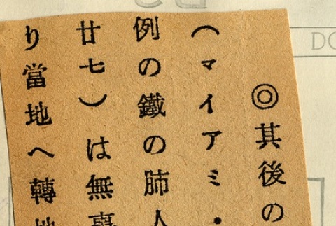 Back (ddr-njpa-1-1933-master-7a8ab9991a)