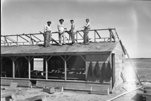 Construction on a barracks (ddr-fom-1-802)