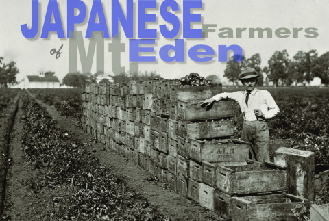 Document with photo of man by crates of produce with history of agriculture in Mt. Eden titled 