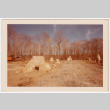 Rock pilars lining dirt road (ddr-densho-377-2175)