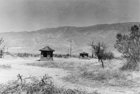 [Photograph of Manzanar camp] (ddr-csujad-29-214)