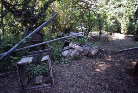 Abandoned planters (ddr-densho-354-1376)