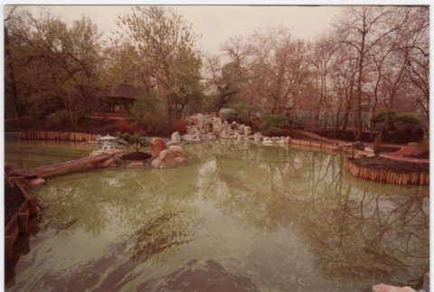 Pond with rock feature (ddr-densho-377-2290)