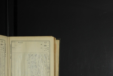 Page 386 (ddr-densho-255-1-master-98c4f92bc9)
